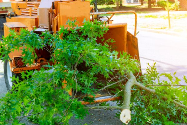 Tree Limb Grinding