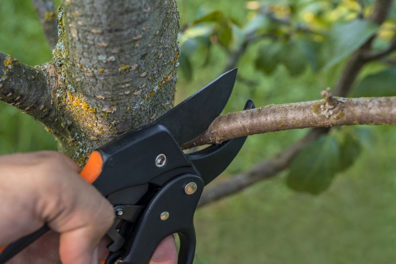 Tree Limb Chipping