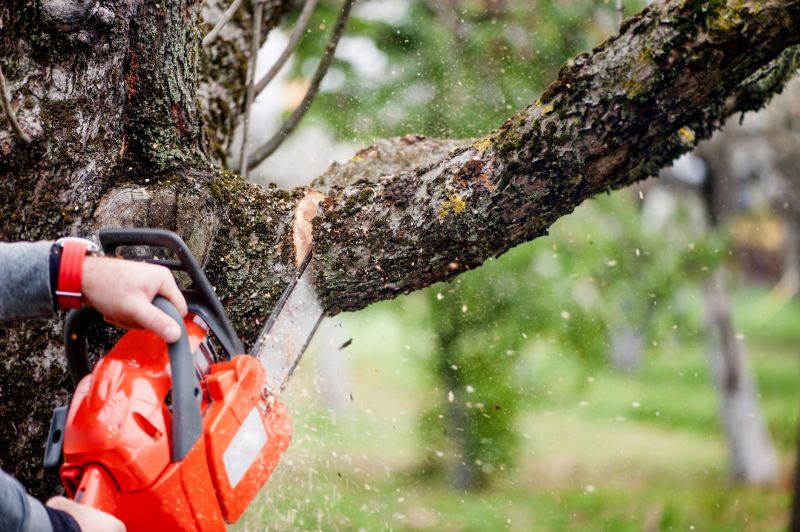 Tree Limb Chipping