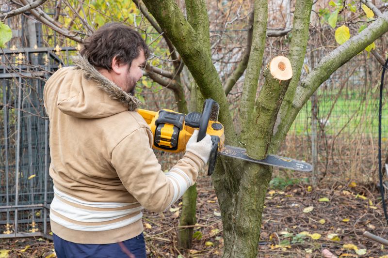 The Importance Of Regular Tree Trimming For Property Safety