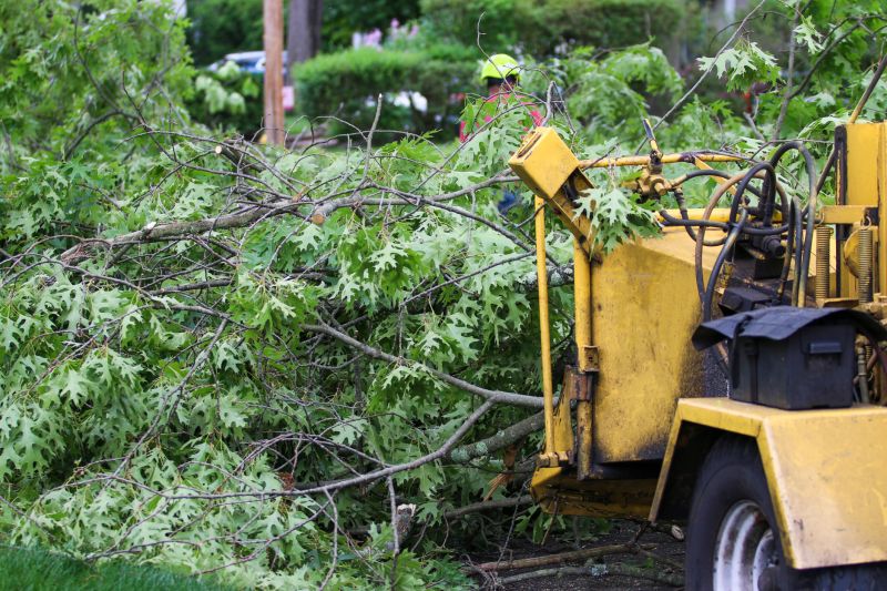 Tree Limb Chipping