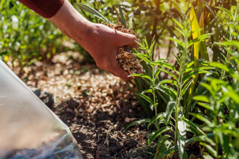 Mulching with Tree Limb Chippings